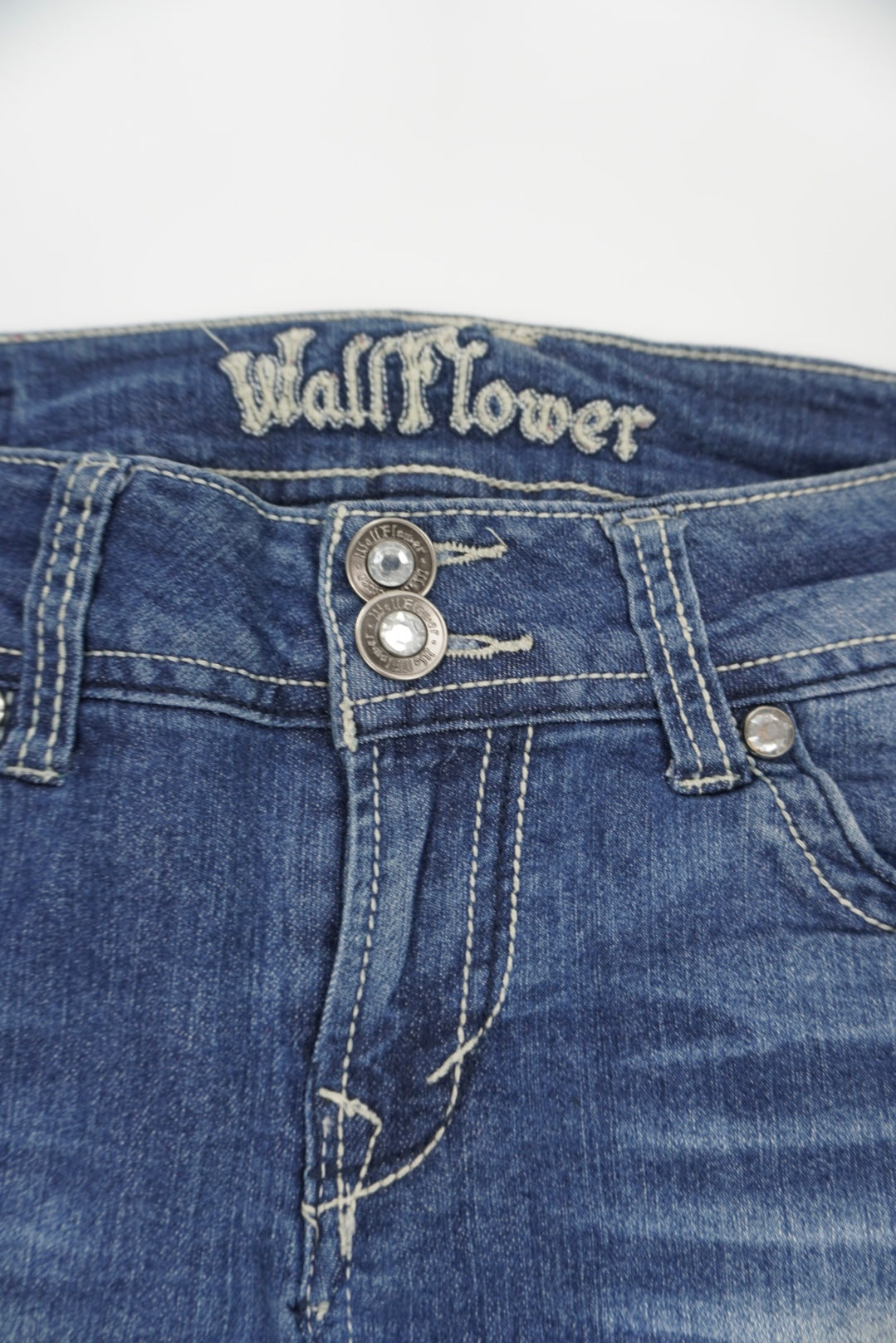 Wallflower embroidery Mini Skirt