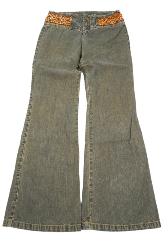 Express Flared Pants