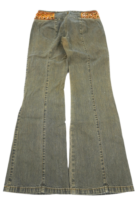 Express Flared Pants