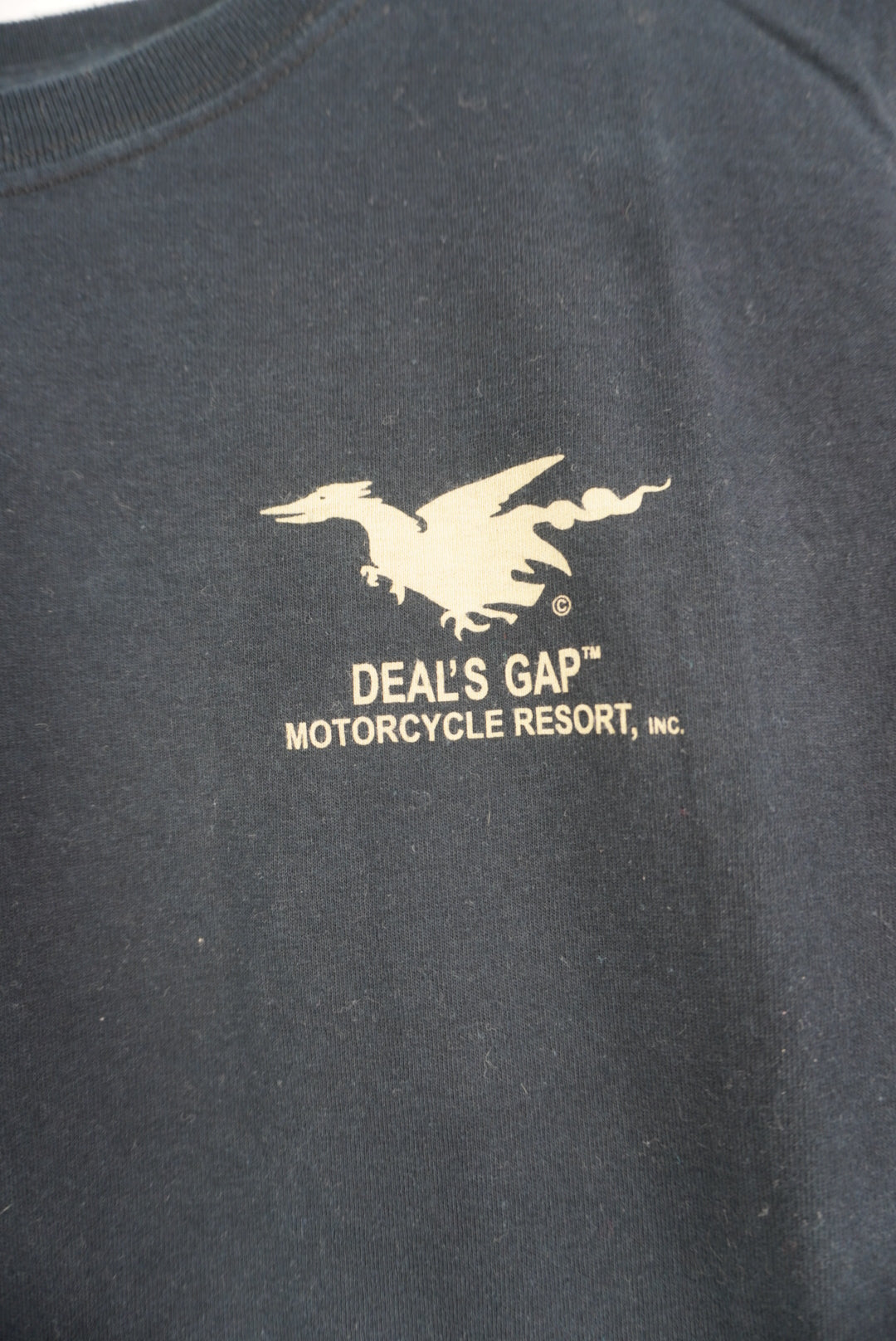 gildan dragon slayer tshirt