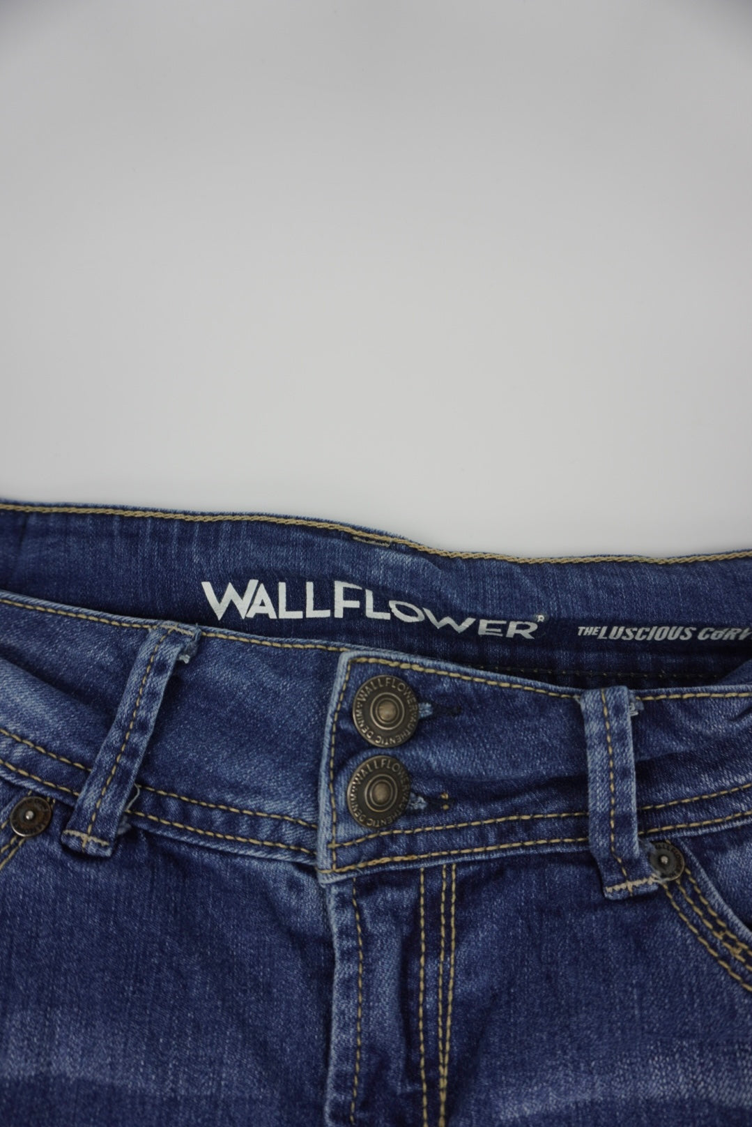 Wallflower flared Pants